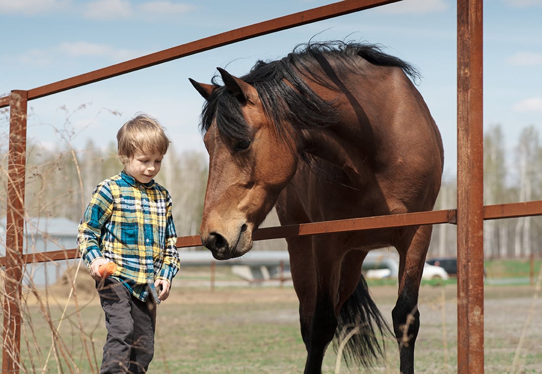 Kids Kompass - Pferdegestütztes Kindercoatching