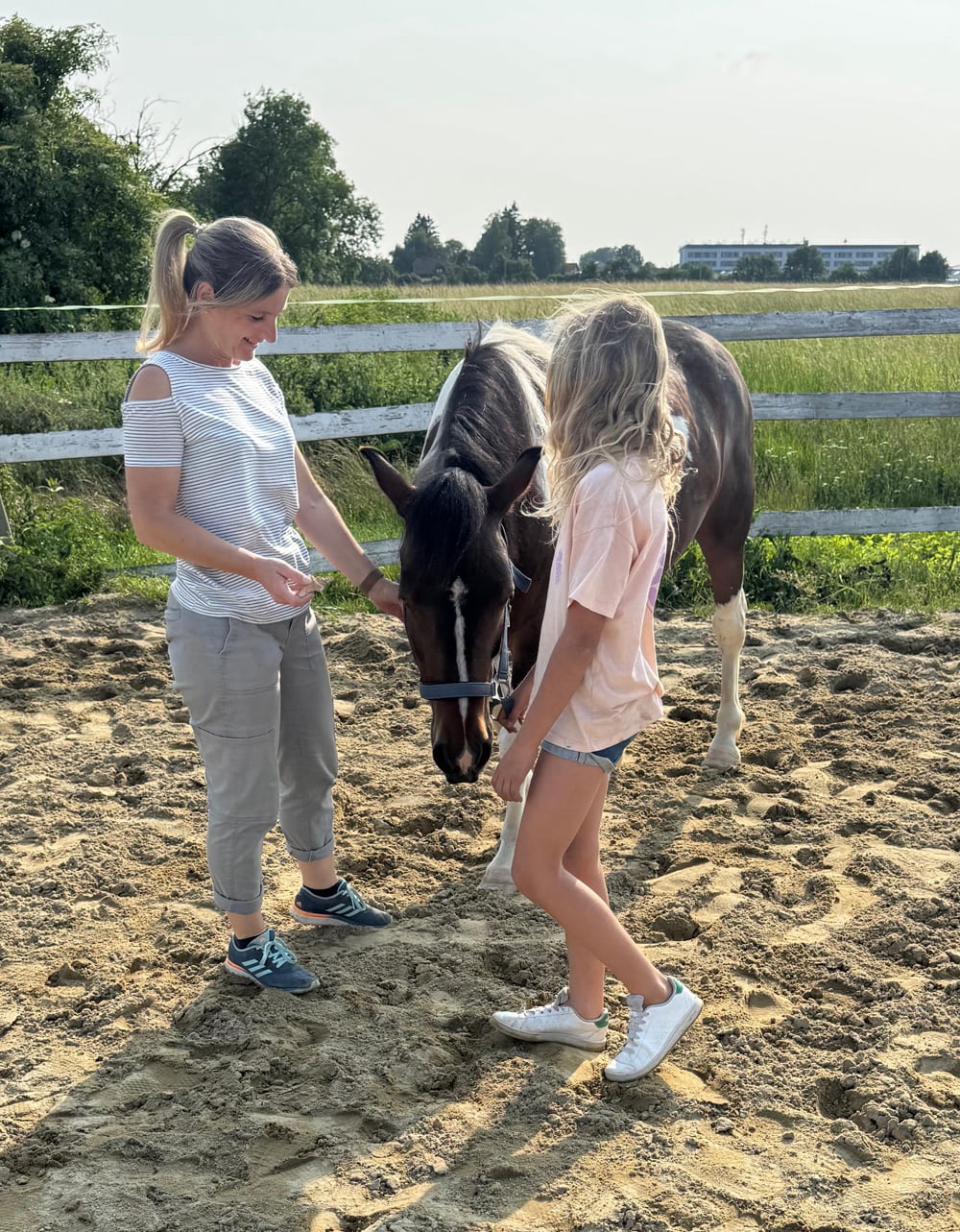Kids-Kompass - Horse assistant coatching