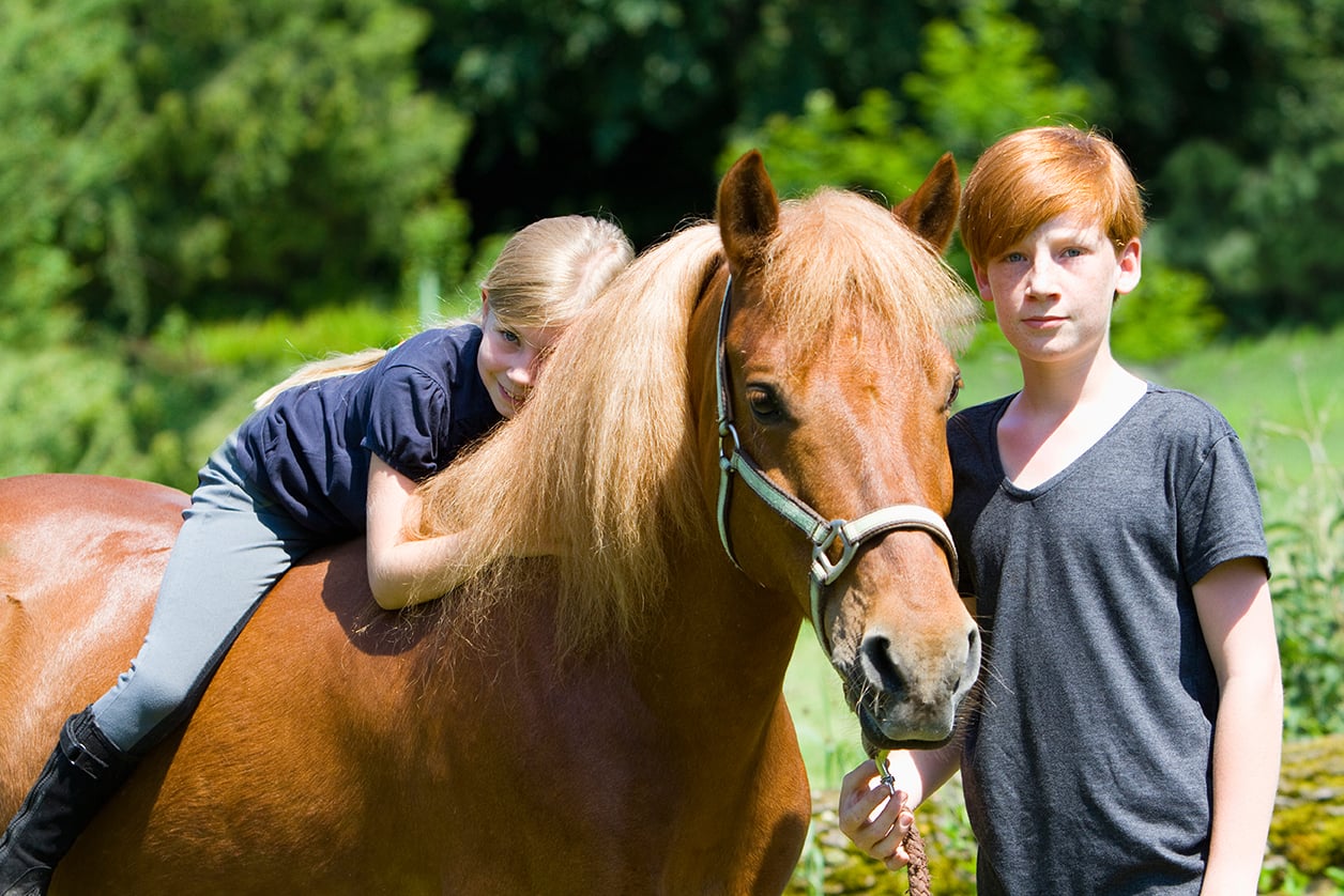 Kids Kompass - Pferdegestütztes Kindercoaching